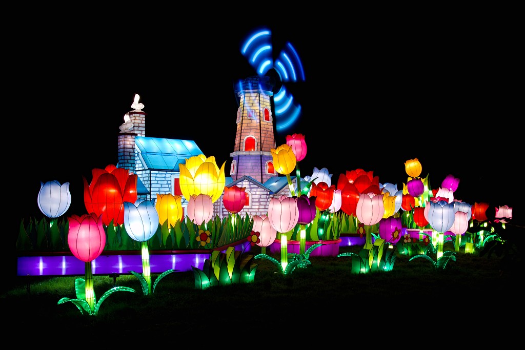 china light licht festival lichtshow show festiviteit glow evenement event chinees chinese verlichting draak dragon lichtfestival zoo